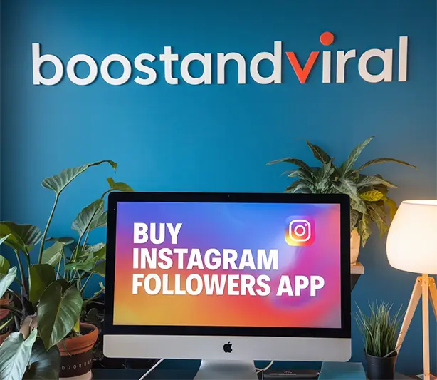 Buy Instagram followers app